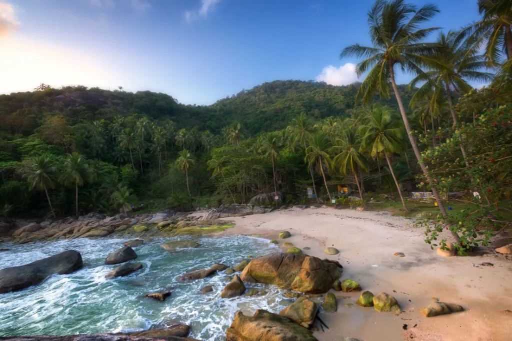 A serene and secluded beach in Ko Pha-ngan, Thailand, surrounded by lush green hills, palm trees, and large rocks. This image is perfect for promoting luxury holidays, peaceful escapes, and exclusive getaways.