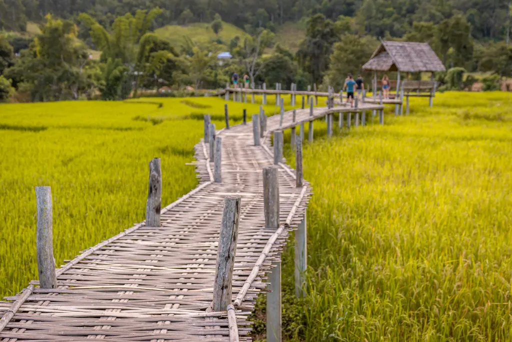A handcrafted bamboo bridge winds through vibrant green rice paddies in Pai, leading to a traditional hut. This authentic and picturesque experience is perfect for luxury tours and DMC-planned activities.