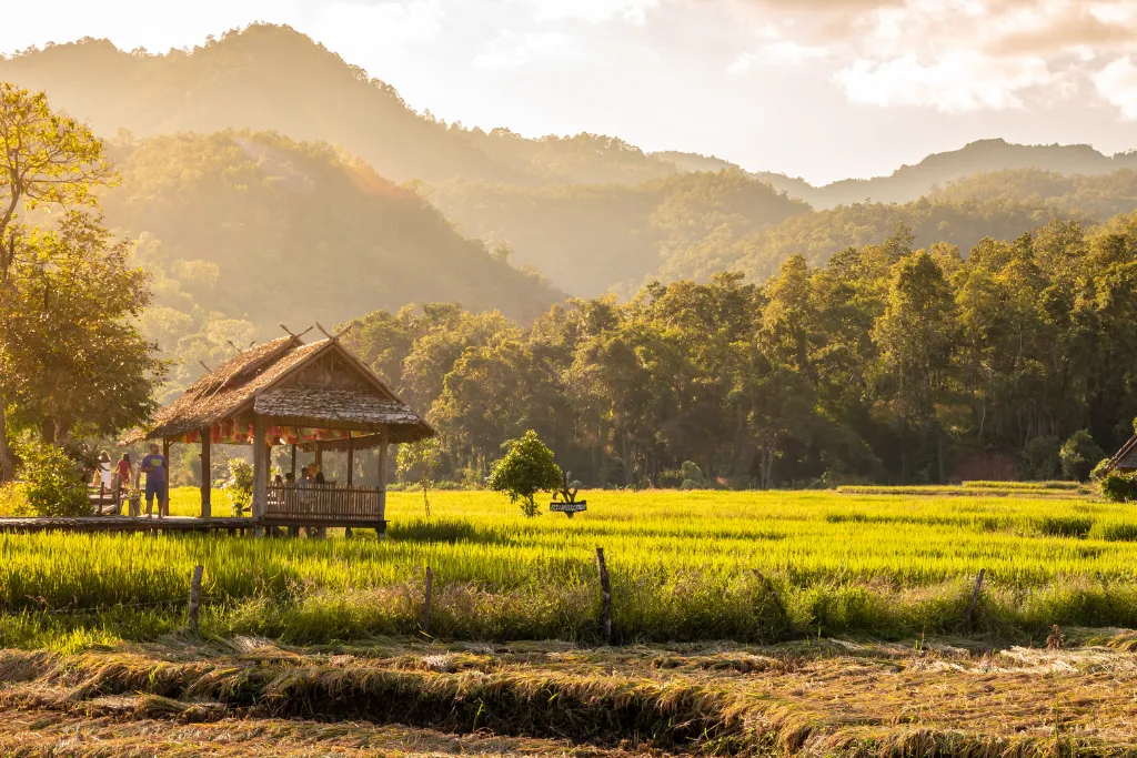 Golden hour light illuminates a traditional Thai hut beside vibrant green rice paddies in Pai, a serene setting ideal for luxury travel, incentive groups, or a unique MICE event.