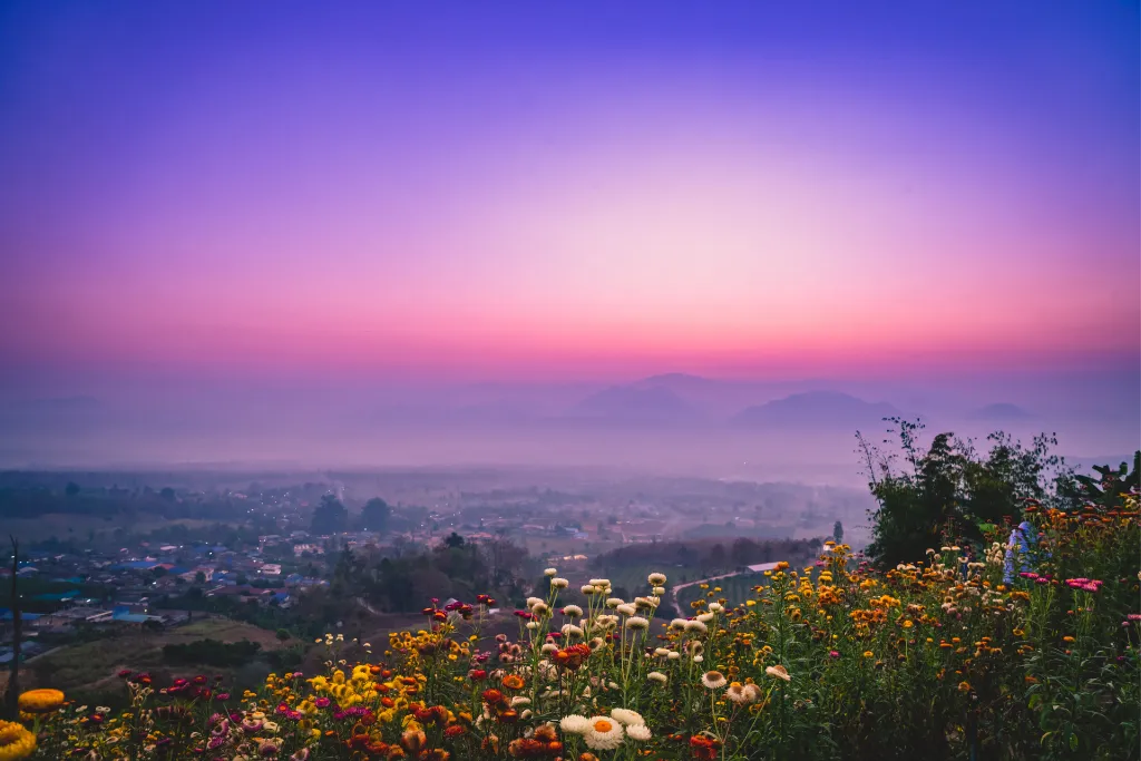 A stunning sunset paints the sky in shades of purple and pink over a misty valley in Pai, with colorful flowers in the foreground. This magical view is the perfect end to a day on a luxury vacation.