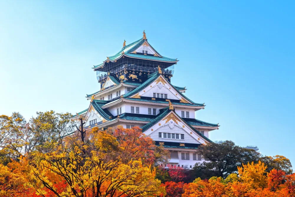 The magnificent Osaka Castle is surrounded by vibrant red and gold autumn leaves against a bright blue sky. This iconic landmark is a key feature of any high-end luxury travel or MICE itinerary in Osaka.