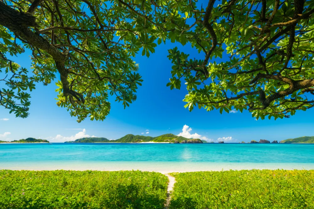 A breathtaking view of the turquoise waters and white sand beach of the Kerama Islands, framed by lush green trees. Our Japan DMC specializes in curating exclusive and pristine island getaways for luxury and MICE travelers seeking a serene escape.