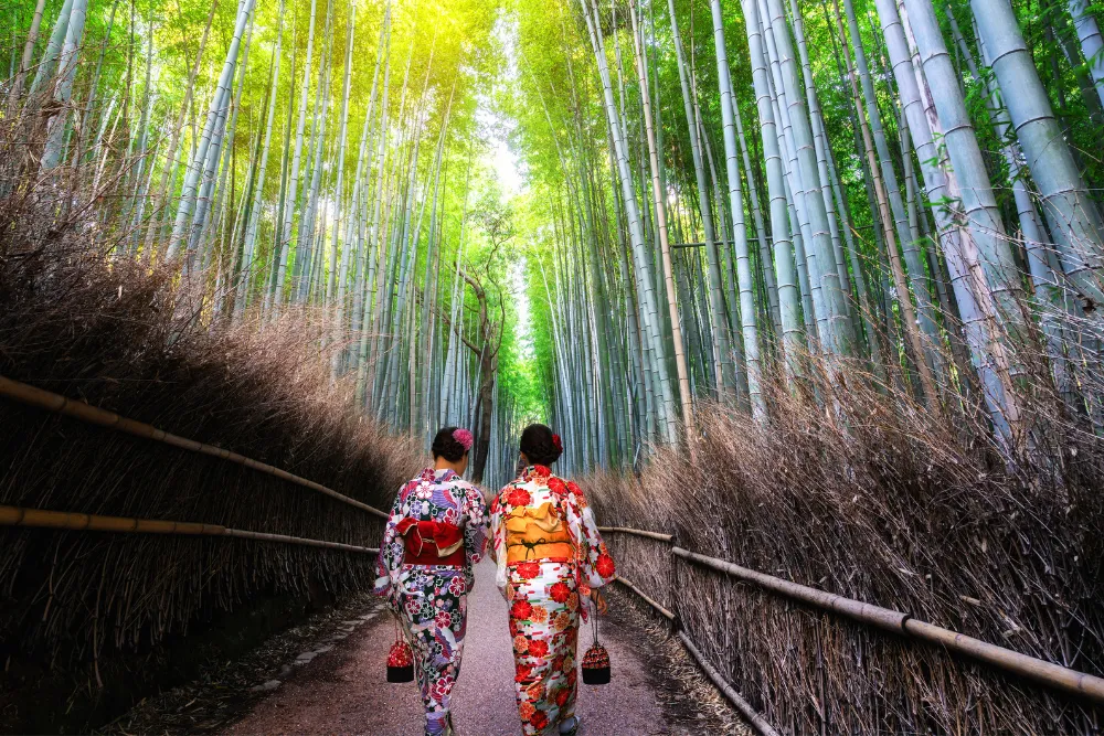 Two women in kimonos walking through the majestic bamboo grove in Arashiyama, Kyoto. This image highlights cultural tours and the serene, unique experiences of a luxury trip to Japan.