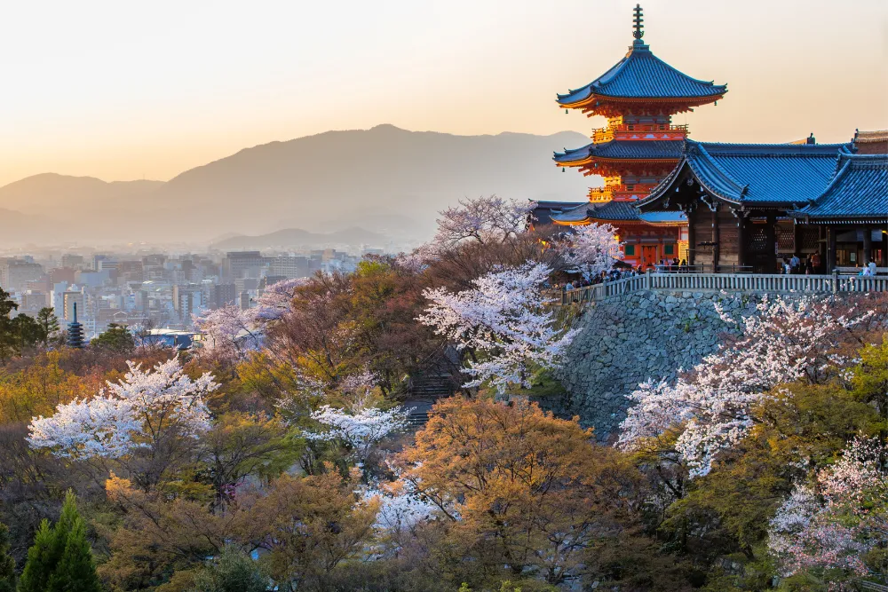 A picturesque view of Kiyomizu-dera Temple in Kyoto with its main hall and pagoda surrounded by autumn foliage and cherry blossoms. This image highlights cultural tours and the beautiful scenery of a luxury trip to Japan.