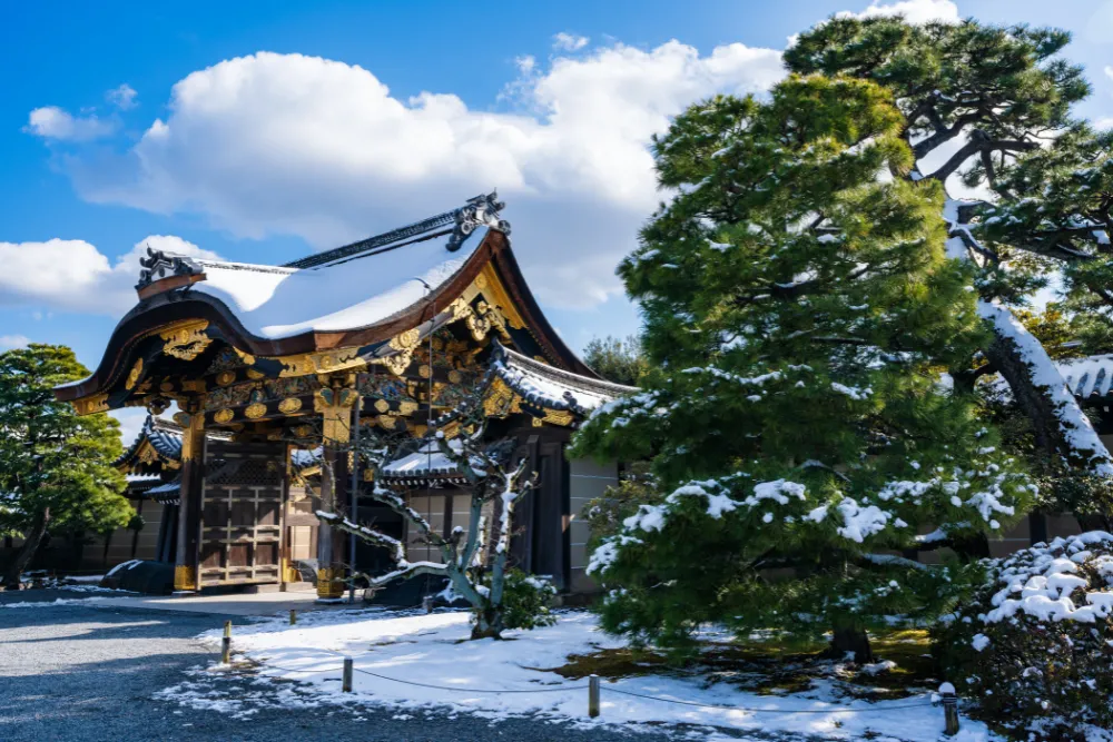 A beautiful view of the snow-covered grounds and entrance to Nijo Castle in Kyoto, highlighting a unique winter travel experience in Japan.
