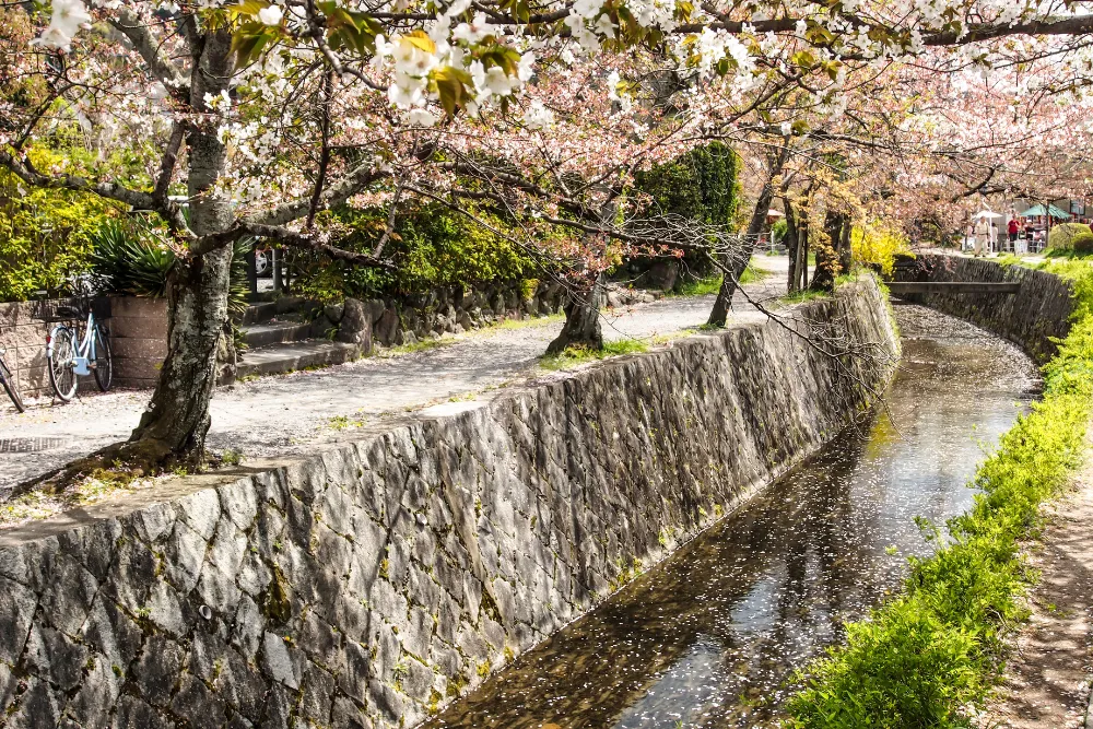 A serene view of the Philosopher's Path in Kyoto with a cherry tree-lined canal, showcasing a peaceful and beautiful destination for luxury travel in Japan.