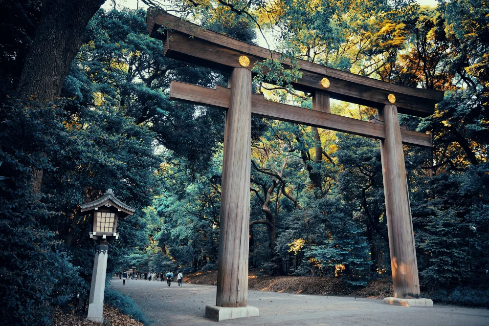 A massive wooden torii gate marking the entrance to the Meiji Shrine in Tokyo, surrounded by a dense, beautiful forest. This image highlights cultural and spiritual tours for a luxury trip to Japan.