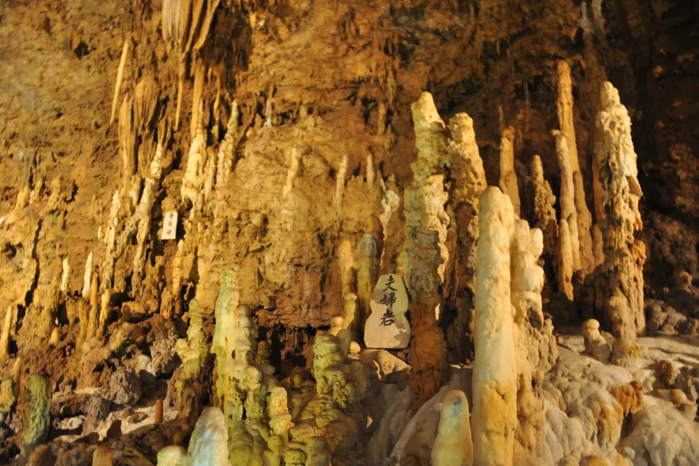  A close-up view of the spectacular limestone stalactites and stalagmites inside Gyokusendo Cave in Okinawa. We include visits to this fascinating natural wonder in our luxury and MICE itineraries for an adventurous and unique experience.