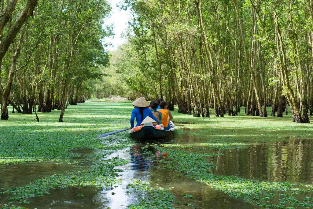 A small boat with local guides paddles through the serene, submerged forest of the Mekong Delta, Vietnam. Experience authentic South Vietnam travel and eco-tourism with personalized Mekong Delta tours from our expert Vietnam DMC.