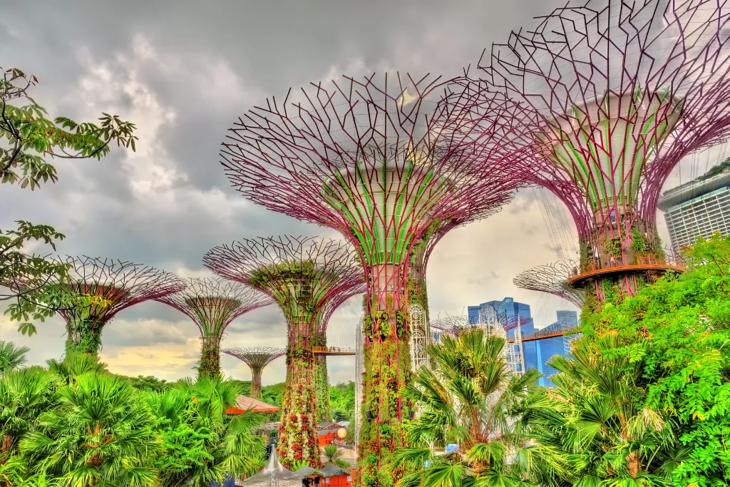 The magnificent Supertrees at Gardens by the Bay, Singapore.
