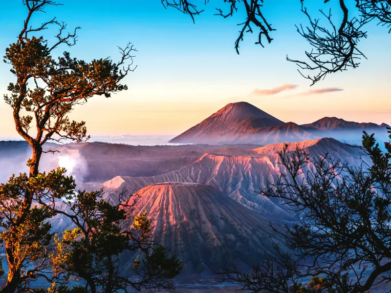 A magnificent sunrise view of Mount Bromo framed by trees, offering bespoke luxury adventures by a premier Indonesia tour operator.