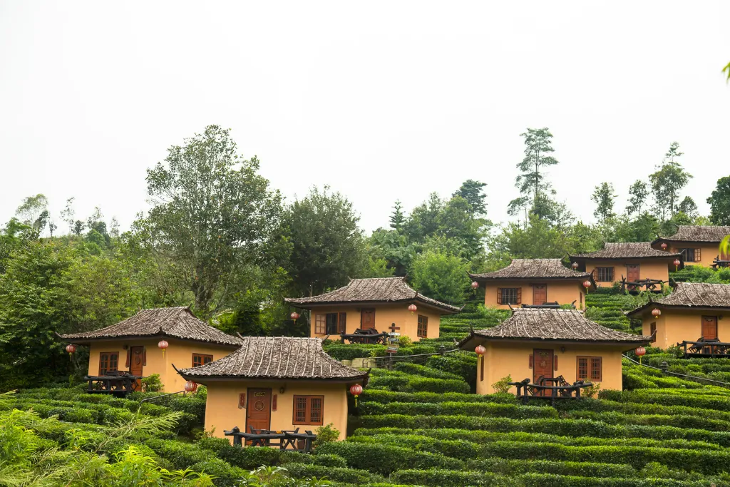 Twin Royal Pagodas surrounded by flower gardens at Doi Inthanon during sunset, featured in North Thailand tours by a local Thailand DMC.